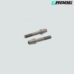 Paire de vis titane moto GP