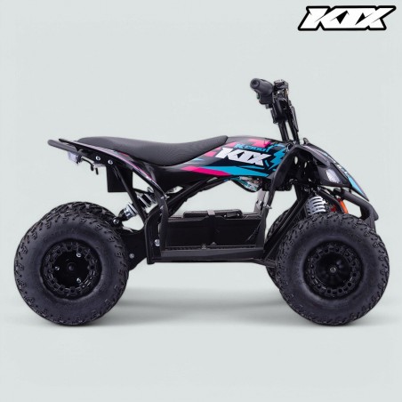 petit quad électrique