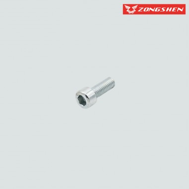 vis tendeur de chaine zongshen
