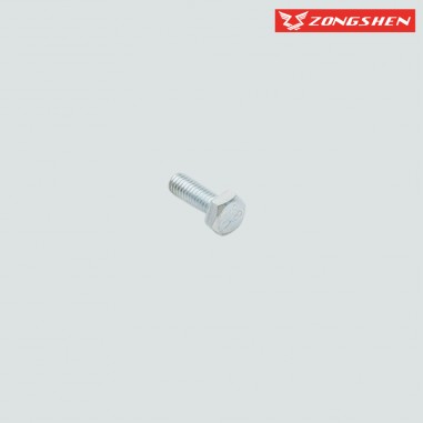 vis plaque culbuteur zongshen