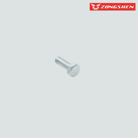 vis plaque culbuteur zongshen