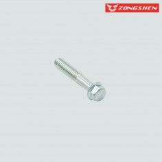 VIS M6x32 ZONGSHEN CPS250