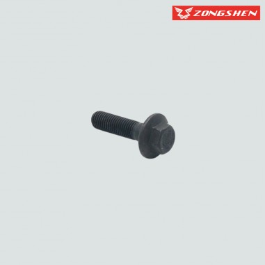 VIS ROTOR ZONGSHEN