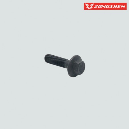 VIS ROTOR ZONGSHEN