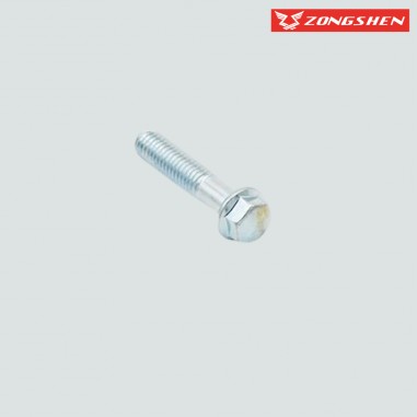 VIS M6x28 ZONGSHEN