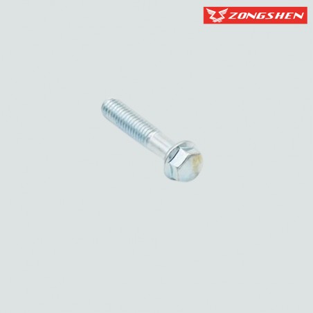 VIS M6x28 ZONGSHEN
