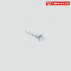 VIS PATIN DE CHAINE DISTRIBUTION ZONGSHEN