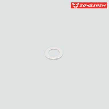 RONDELLE VIS PATIN DE CHAINE DISTRIBUTION ZONGSHEN